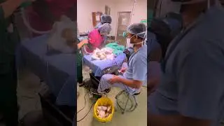 Mini vlog Dr Amir 251 | My dream come true #shorts #minivlog