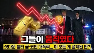 금 대폭락, 비트코인 급락... 이 모든 건 '설계'되었습니다 (셧다운의 진실)