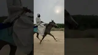 Anaar Kali owner Ibrahim khalol