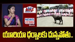 యూరియా ధర్నాలకు వచ్చిన దున్నపోతు..| Urea Problems | - Mana Teenmar