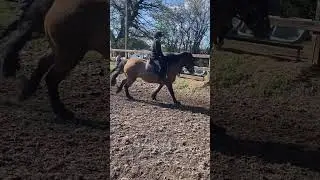 #cantering #keolis #horseriding