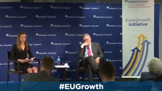 The European Stability Mechanism