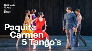 Paquita, Carmen and 5 Tangos are three ballets with Spanish flair | Dutch National Ballet