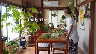 【古民家暮らし】残暑を楽しむ絶品タコスランチ | 観葉植物のケア | 土から作る器紹介 | vlog