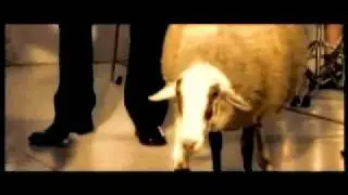 Mi2 - Ti nisi ta