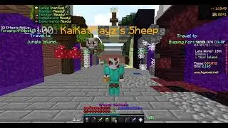 Hypixel Skyblock Dupe Glitch?