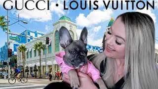 Luxury Clothing Haul FOR MY DOGS