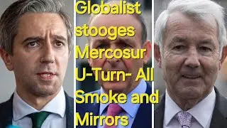 Irish Government's Mercosur U-Turn all smoke and mirrors