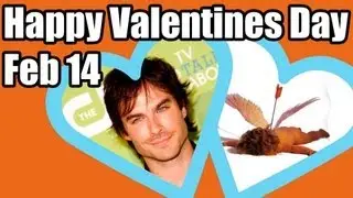 Celebrity Valentine's Wishes & Twitter Match-Making | DAILY REHASH | Ora TV