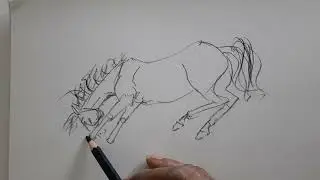 How to sketch a jumping Horse easy (Lesson- 4 - 2025) 6 #creative #animalart #arttutorial #art #arti