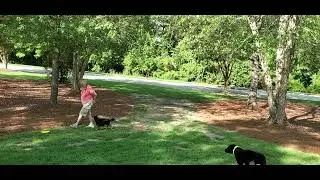 bear superbowls with Karl Hack