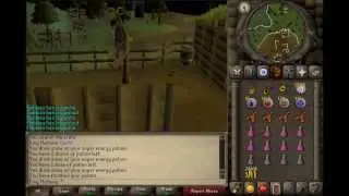 Old School RuneScape 2007: Quest Guide Walkthrough - Gertrude's Cat!