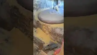 Panchaki Viral