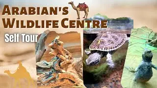 The Arabian Wildlife Centre Sharjah Tour |Ms Listan
