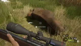 theHunter Call of the Wild - Gameplay 276