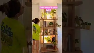 Plant grow lights for dark rooms and cold climates! #growlights #planthacks #lowlightindoorplants