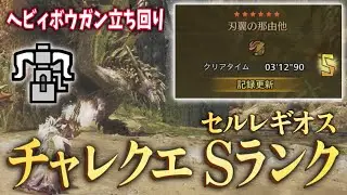 [Monster Hunter Wilds] Challenge Quest Seregios Heavy Bowgun: Just Guard and Evade Strategy Comme...