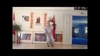 Shaolin Rouquan 2. Form / 少林柔拳二路