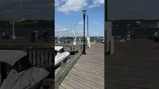Port in Halifax Canada #halifax #adventure #canada #hollandamerica