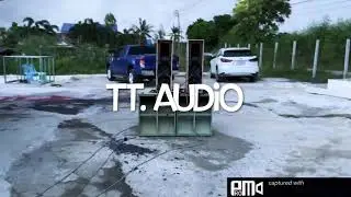 TT. AUDIO COLUMN SPEAKER