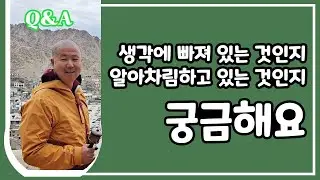 생각에 빠져 있는 것인지, 알아차림하고 있는지 궁금합니다