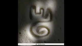 Insomniast - The Cure