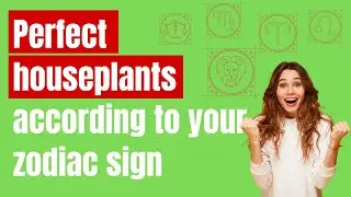 Perfect houseplants according to your zodiac sign