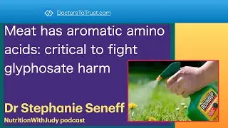 STEPHANIE SENEFF 1 | Meat has aromatic amino acids: critical to fight glyphosate harm