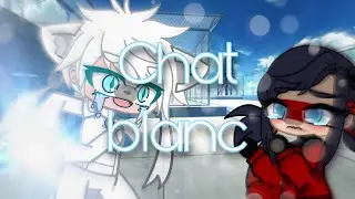 || Chat blanc || gcmm || Mlb au ||