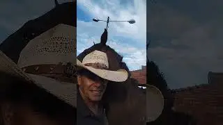 Rotina dia a dia na fazenda