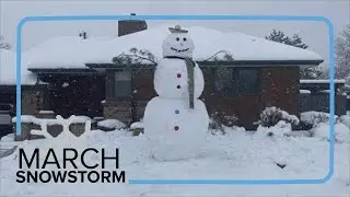 How did the City of Denver handle Colorado's March snowstorm?