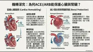 血壓藥物ACEI及ARB在阻斷 RAAS 調控血壓，打擊收縮源Angiotensin II，干擾藥物-上游ACEI不製造Angiotensin II 與 ARB 阻斷在血管發揮加壓之機制與臨床藥物介紹