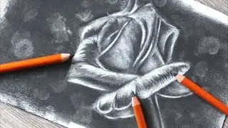 How to Draw a Rose in Charcoal Pencils | Beginner Tutorial