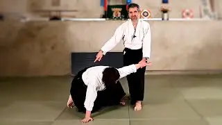 Shomen'uchi ikkyo omote waza - 正面打ち一教表技