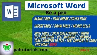 MICROSOFT WORD I DETAILS TUTORIAL I BEGINNER TO ADVANCE I DAY -3