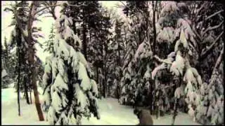 Jan19 21epicmaine 1
