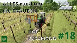 ALLES rund um TRAUBEN | LS25 Hof Bergmann Folge 18