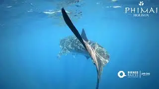 Departamentos en venta PHIMAI HOLBOX Agencia Inmobiliaria Bienes Ra&iacute;ces Quintana Roo Real Estate