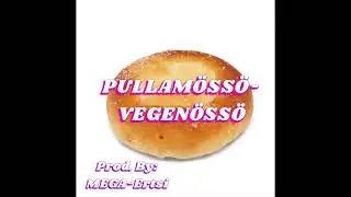 MEGA-ERTSI - PULLAM&Ouml;SS&Ouml;-VEGEN&Ouml;SS&Ouml;