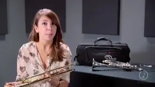 S.E. SHIRES Doc Severinsen Destino III Bb Trumpet