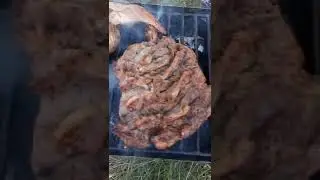 La picnic in Samburesti