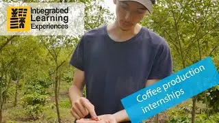 Intern in agriculture abroad . Coffee internships.