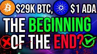 CRYPTO BLOODBATH... Is This The Beginning Of The End? + Why I'm Not Panicking