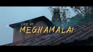 Megamalai | The life of Megamalai | Hidden paradise of earth | Shorts in Tamil | Theni