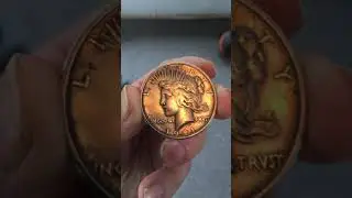 1921 matte proof peace dollar