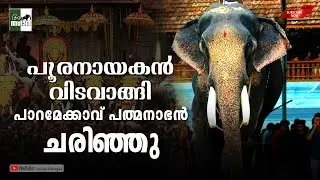 പൂരനായകൻ വിടവാങ്ങി... പാറമേക്കാവ് പത്മനാഭൻ ചരിഞ്ഞു...