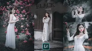Black Tones (Moody) Presets - Lightroom Mobile Presets | Black Moody | Black Tones Filters। free DNG