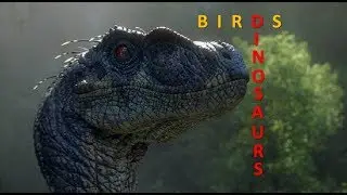 Dinosaurs and Birds- how are they related?