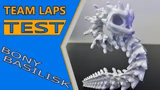 BONY BASILISK TIME LAPSE TEST