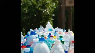 This app will help restaurants and help save the environment